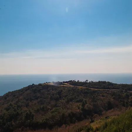 아파트 Tophill Altezza Premium - View And Pool *